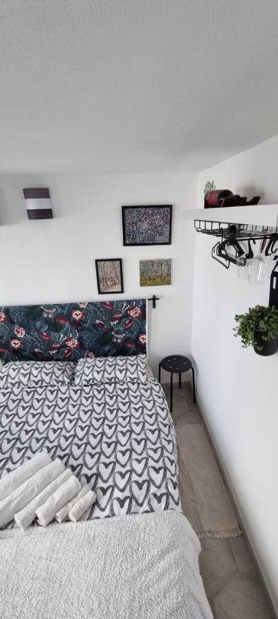 Garden Room ปิซา ภายนอก รูปภาพ